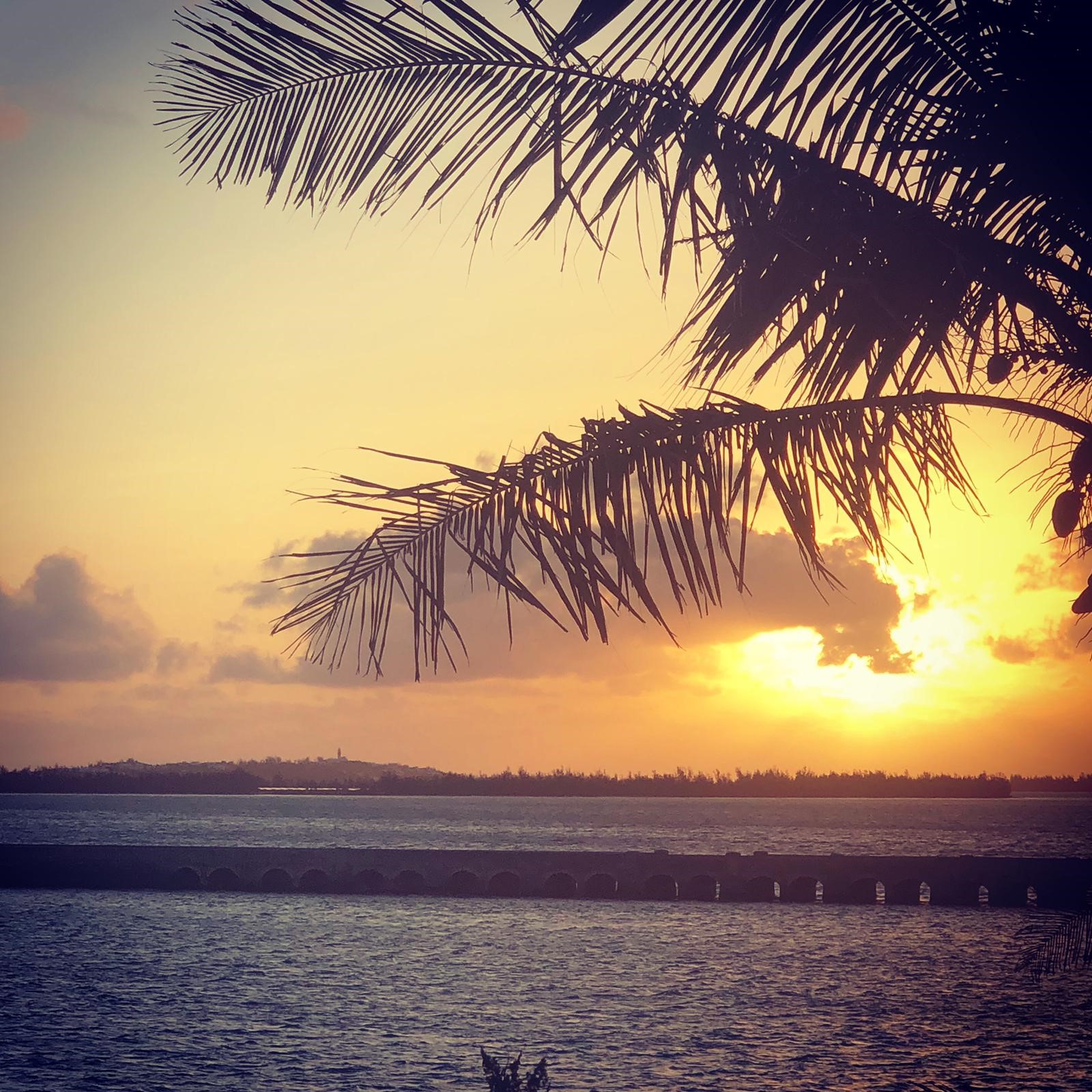 The Bermuda Valuation Arena Bermuda Valuers & Appraisers Limited